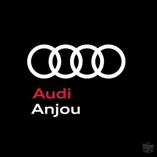 Audi Anjou