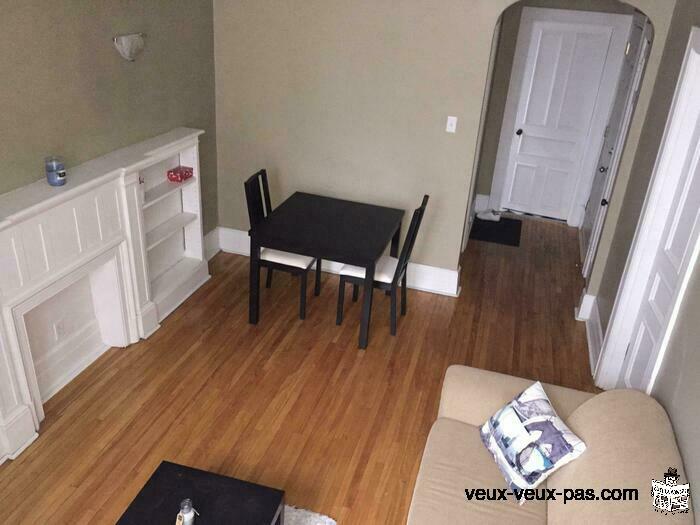 Atwater metro-Downtown Montreal 1 bedroom apt- $925/mth