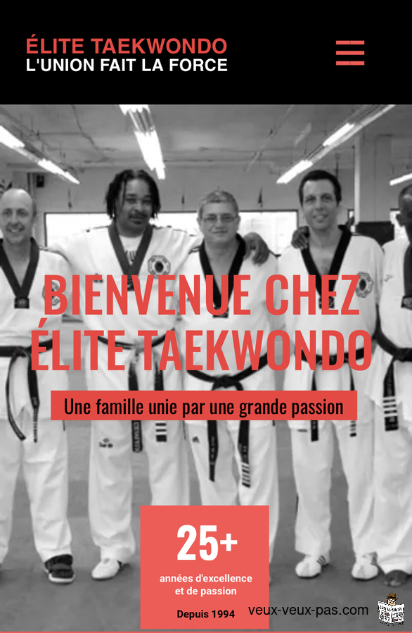 Elite Tae Kwon Do