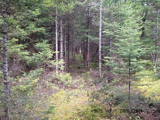 LAURENTIDES - Terrain près de Mont-Tremblant