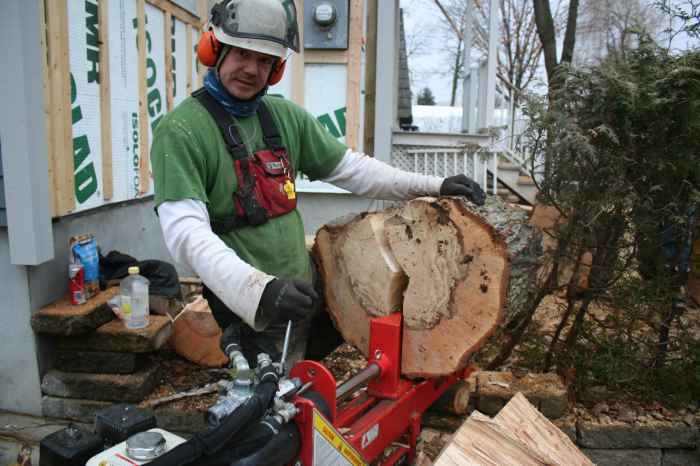 Pierre Ménard Services D'arbres 514-916-0515