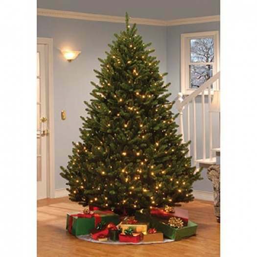 Sapin Fraser articulé de style naturel 2,3 m(7.5 pi)