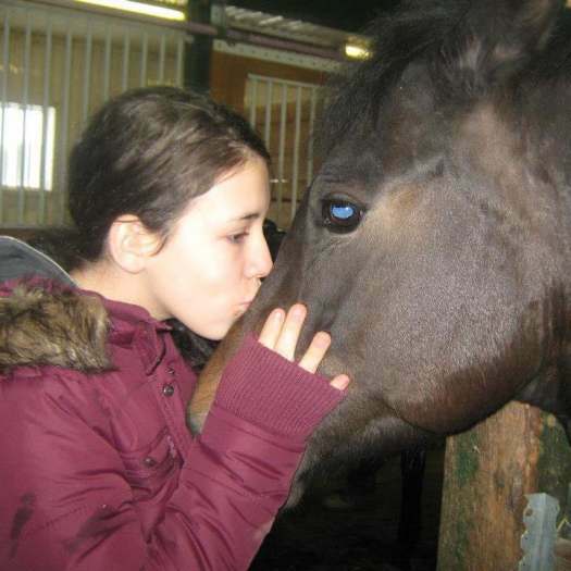 je cherche une petite job pour m'occuper des cheval