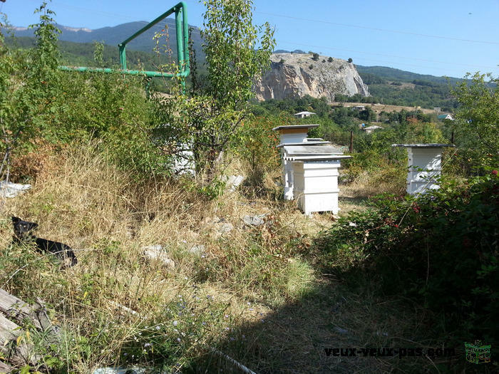 Red Rock Climbing Guest House in Crimea - Ukraine