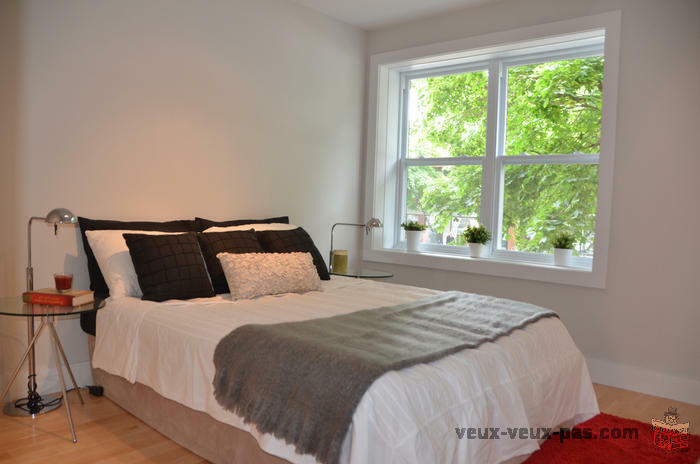 Plateau Mont-Royal - Location luxueuse à 1550$ par mois