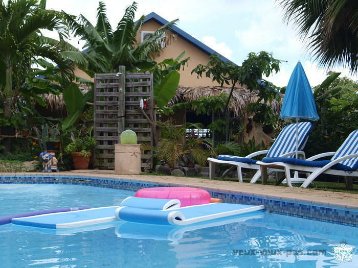 LOUE VILLA MEUBLEE ILE DE LA REUNION PISCINE/HAMMAM/MASSAGE JET D'EAU