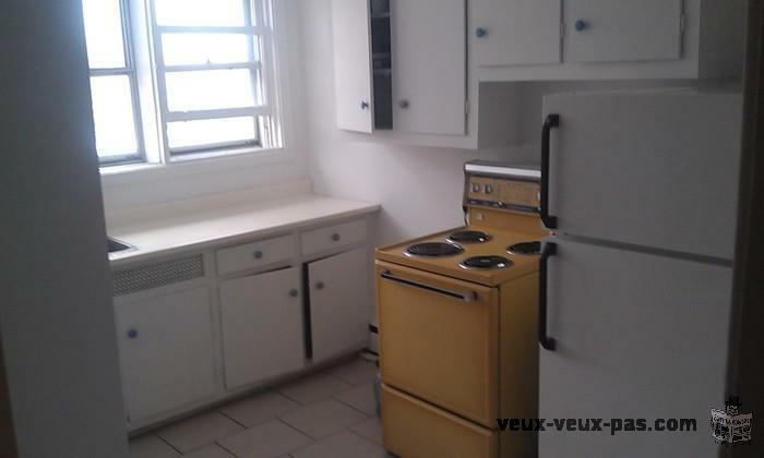NICE 2 1/2 sublet 6 months (just for february is for 350$)