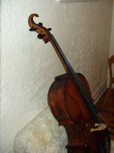 violoncelle très original